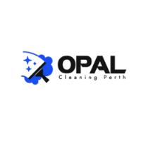 Opal Cleaning Perth image 1